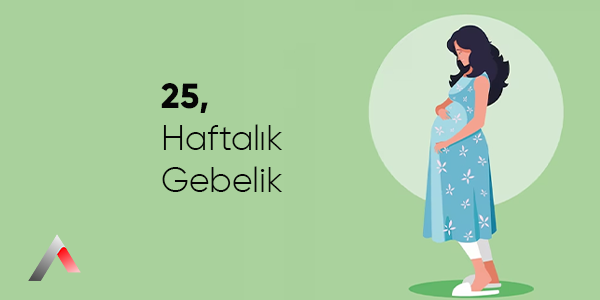 25_Haftal__k_Gebelik_ce16be4a.webp