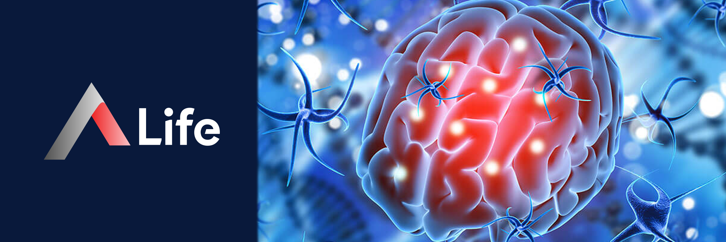 [Resim: Akut___nme_ve_Semptomlar___8f0235e9.webp]