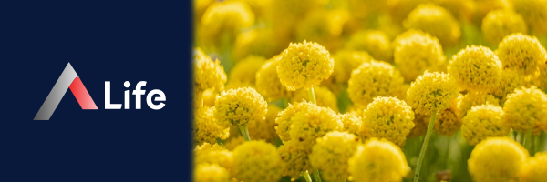 Alt__n_Otu_Nedir_e5eb619b.webp