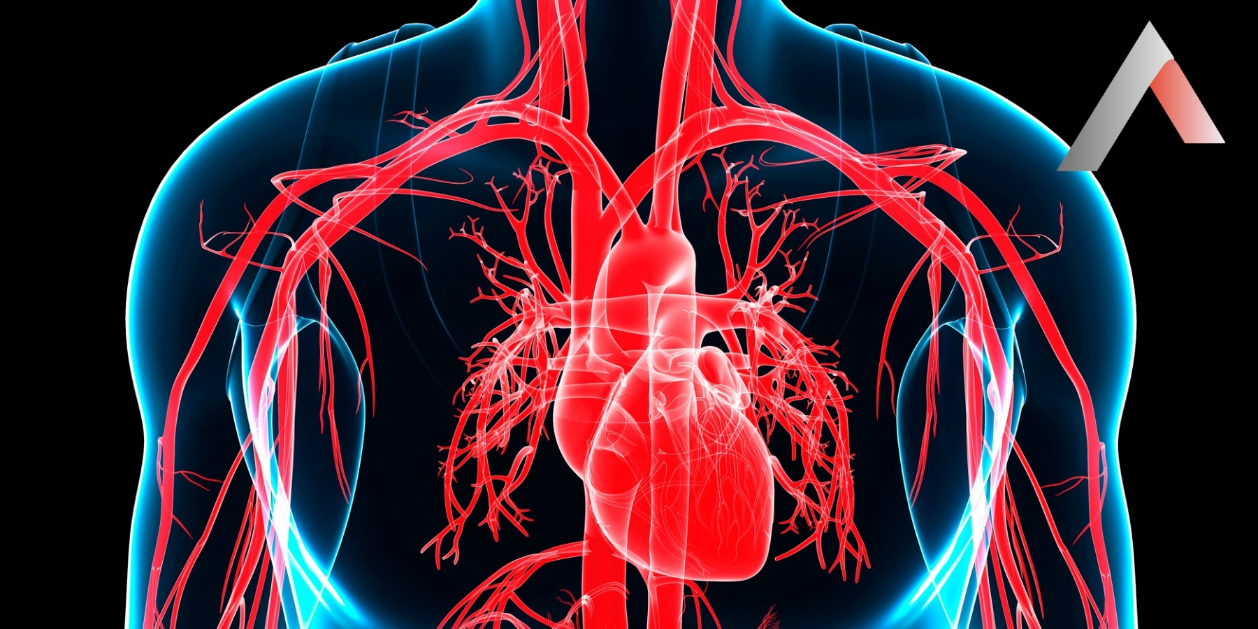 Atrial-Septal-Defekt-_ASD_-Belirtileri-Nelerdir_bd86f9d1.webp