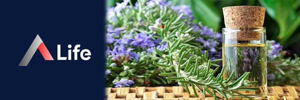 Biberiye_Ya_____Faydalar___9fd0c79b.webp