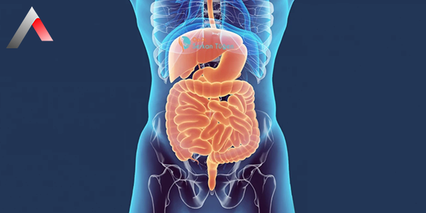 Gastrointestinal_G__r__nt__leme_054310f9.webp