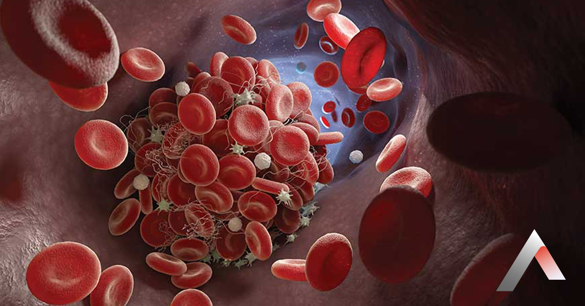 Hematoloji_8c82bafe.webp