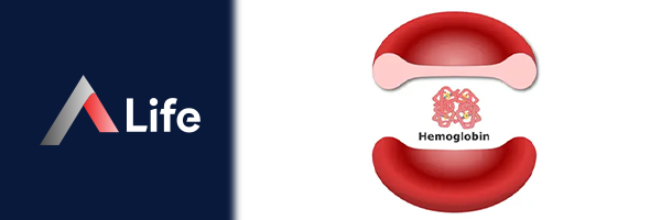 Hemoglobin_7871bc4e.webp