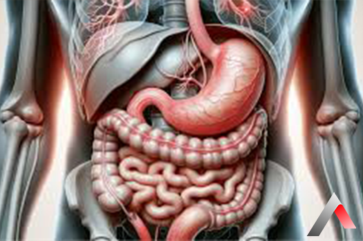 Hiatal_F__t__k_ce607328.webp