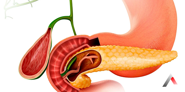 Kolesistektomi_cbf1105b.webp
