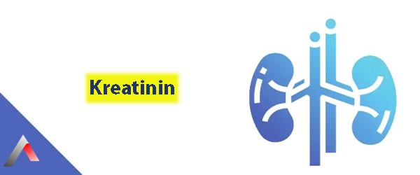 Kreatinin_Nedir_78acfa70.webp