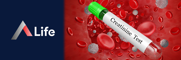 Kreatininnedir_b140495b.webp