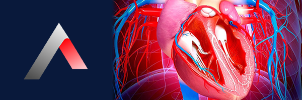 Mitral_Kapak_Yetmezli__i_Nedir_2e2e02e4.webp