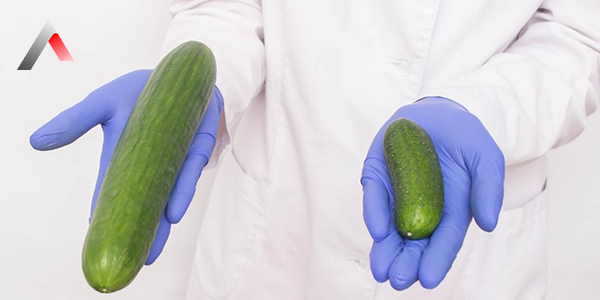 Penis_Kal__nla__t__rma_Ameliyat___298e9ee7.webp