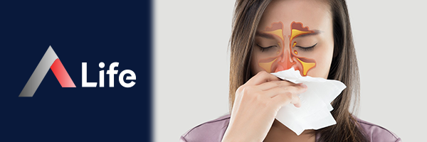 Sin__zit_Nedir_9870075e.webp