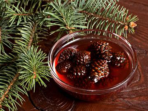 __am_Kozala_______urubu_e935369b.webp