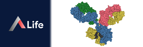 __mm__noglobulin_G_08ca3d5a.webp
