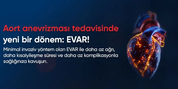 evar_600x300_25dd0d73.webp