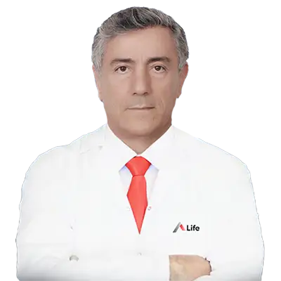 Prof. Dr. Faysal Gök - Uzman Uzmanı