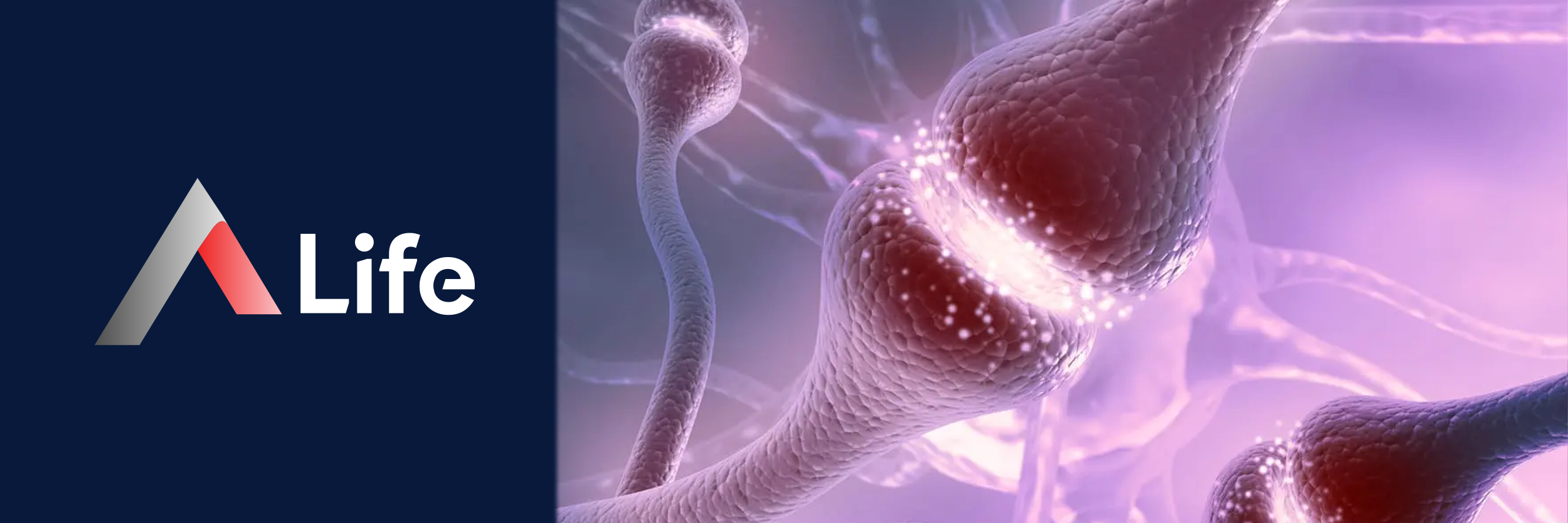 serotonin_hormonu_8b2286a5.webp